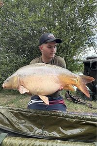 Carpe Miroir