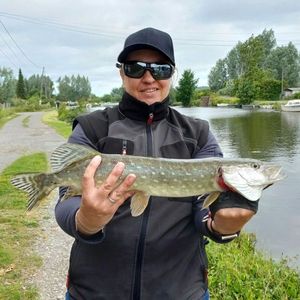 Northern Pike