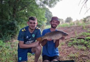Common Carp