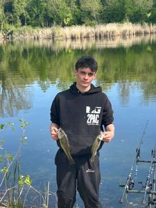 Largemouth Bass