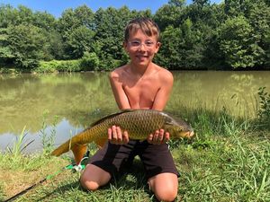 Common Carp