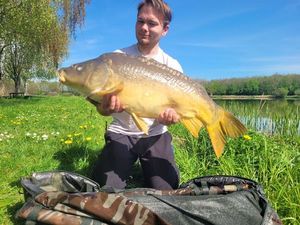 Mirror Carp