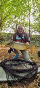Mirror Carp