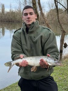 Northern Pike