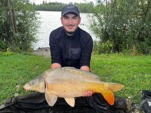 Mirror Carp