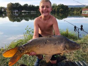 Mirror Carp