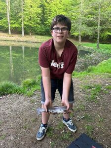 Rainbow Trout