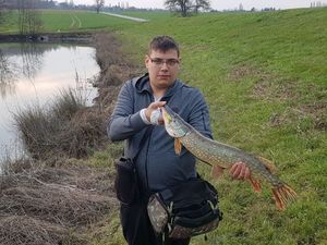 Northern Pike
