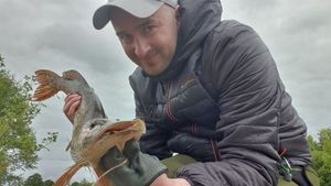 Northern Pike