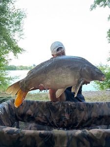 Leather Carp