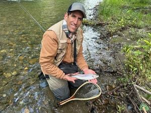 Rainbow Trout