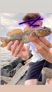 Giant Goby