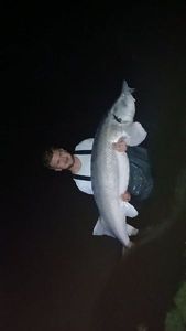 Sturgeon