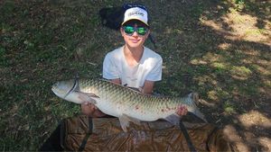 Grass Carp