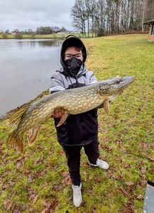 Northern Pike