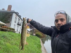 Northern Pike