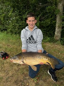 Mirror Carp