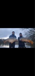 Leather Carp