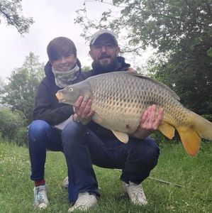 Common Carp