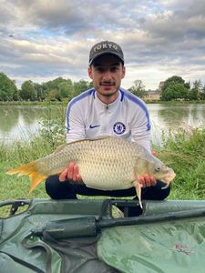 Common Carp