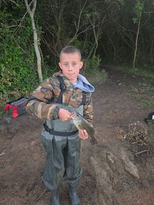 Largemouth Bass
