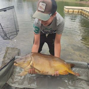 Mirror Carp