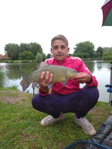 Tench