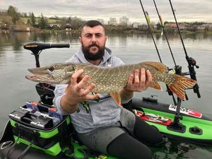 Northern Pike