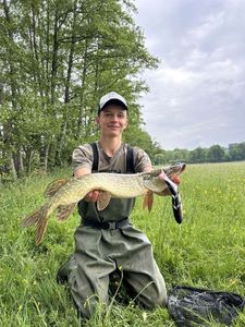 Northern Pike