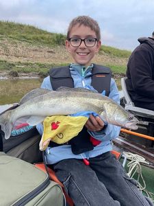 Zander