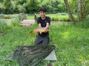 Common Carp