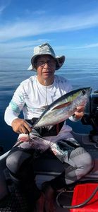 Blackfin Tuna