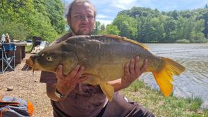 Mirror Carp