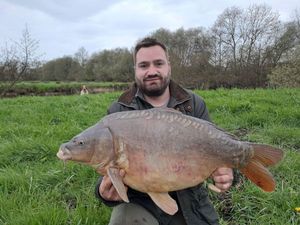 Mirror Carp