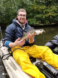 Zander
