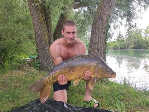 Mirror Carp