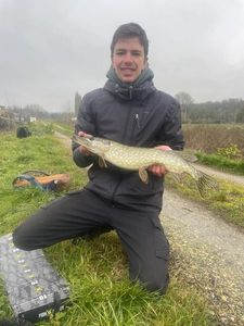 Northern Pike