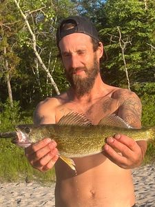 Walleye