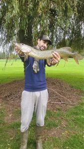 Northern Pike