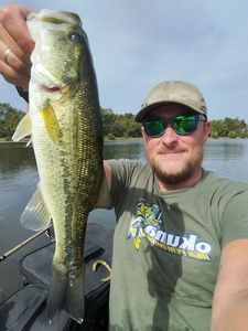 Largemouth Bass
