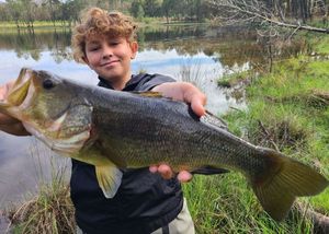 Largemouth Bass