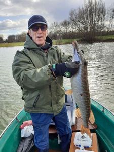 Northern Pike