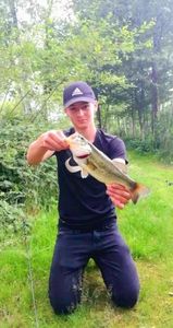 Largemouth Bass