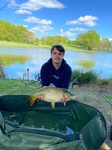 Common Carp