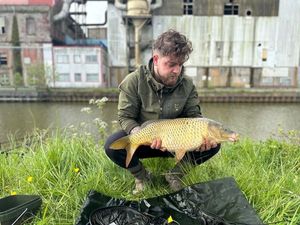 Mirror Carp