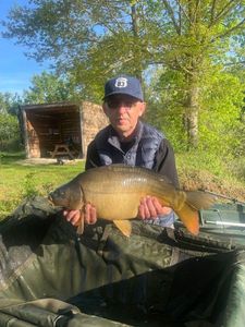 Leather Carp
