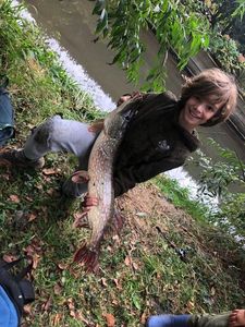 Northern Pike