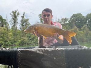 Mirror Carp