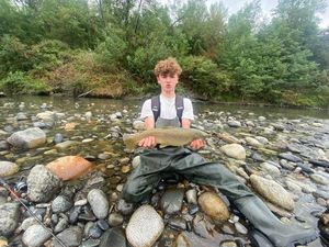 Rainbow Trout