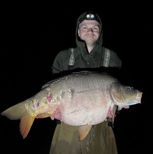 Mirror Carp